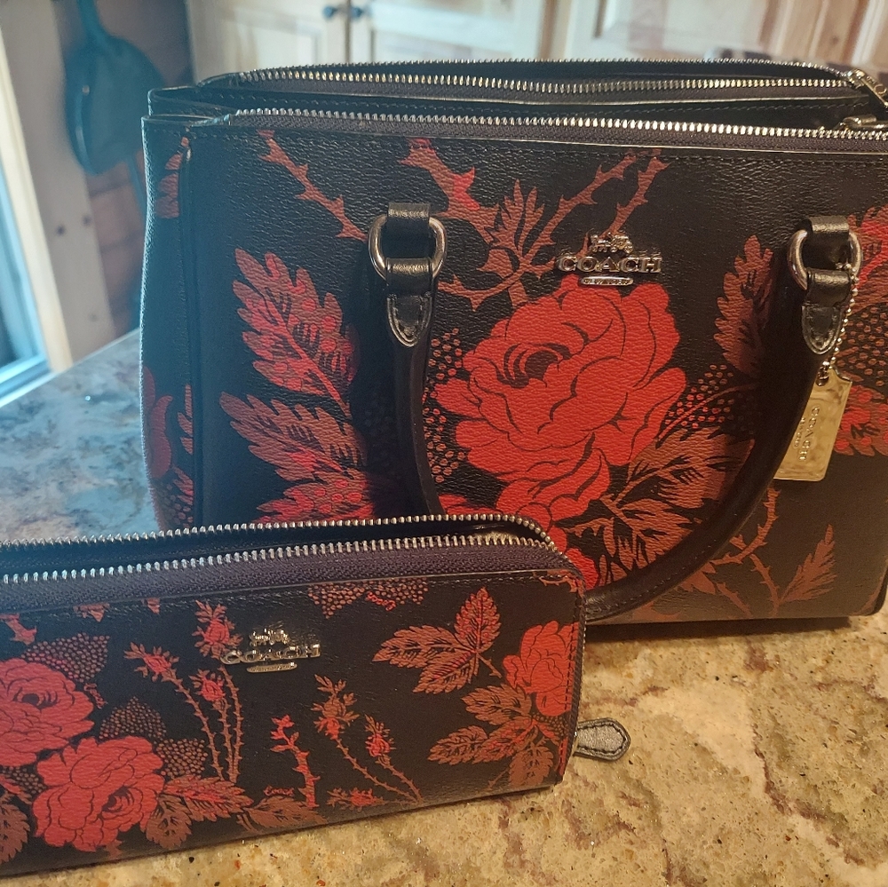 Coach leather handbag and wallet